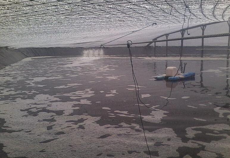 魚塘修建土工膜和混凝土哪種方法更可靠？